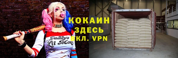 соль ск Саяногорск