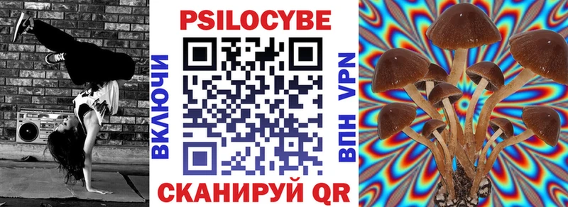Купить где  Сургут  Псилоцибиновые грибы Psilocybe 