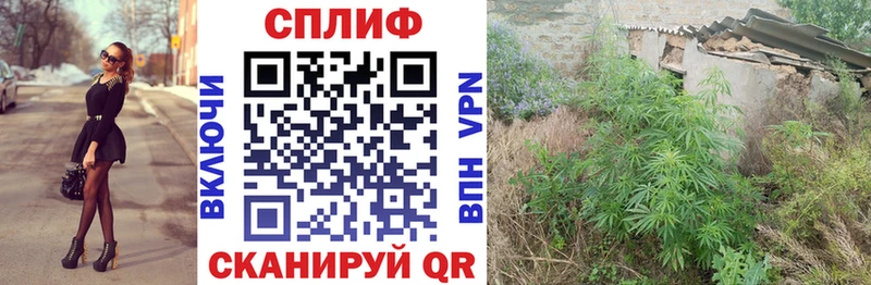 Конопля AK-47  Купить закладки  Сургут 